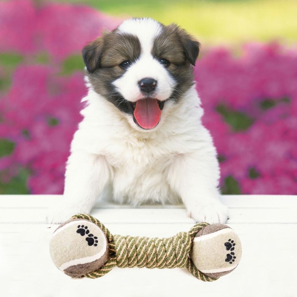 Pet Dog Toys For Large Small Dogs Toy Interactive Cotton Rope Mini Dog